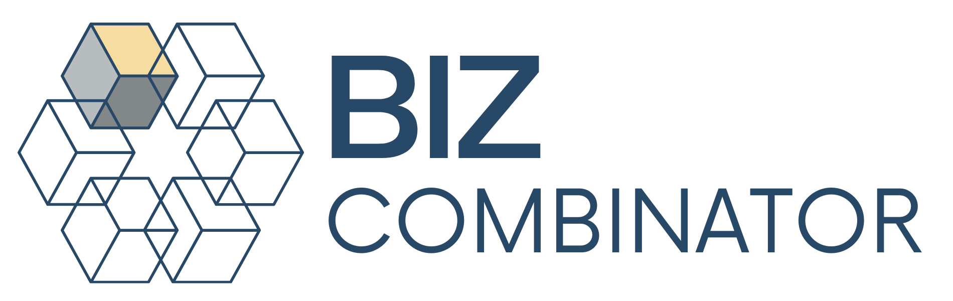 Biz Combinator